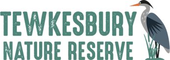 Logo for Tewkesbury Nature Reserve in green font with footprints over the text and a heront