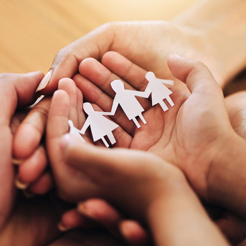 Introduction Section Image