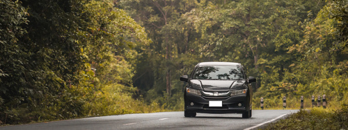 Photo of car driving on leafy clear road