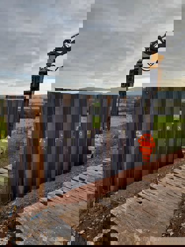 Photo of piling work carried out by Network Rail