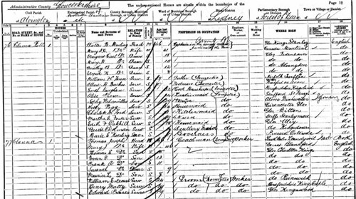 1891 census