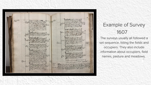 A photo of one section of the 1607 survey