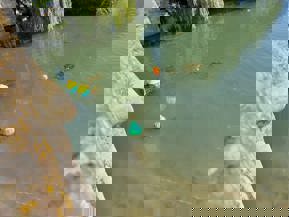 A picture of the river from the bridge.