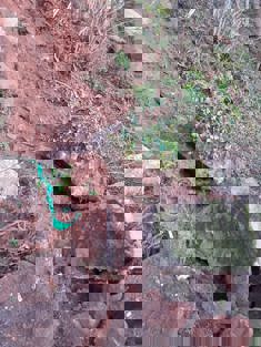 Pictures of boulders