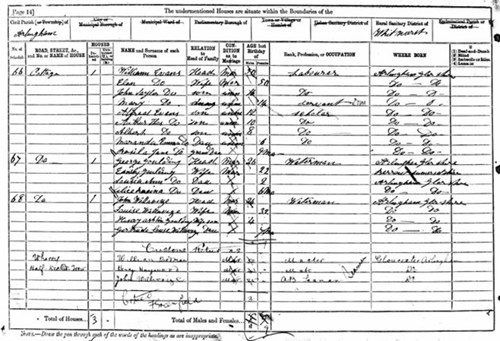 1881 census