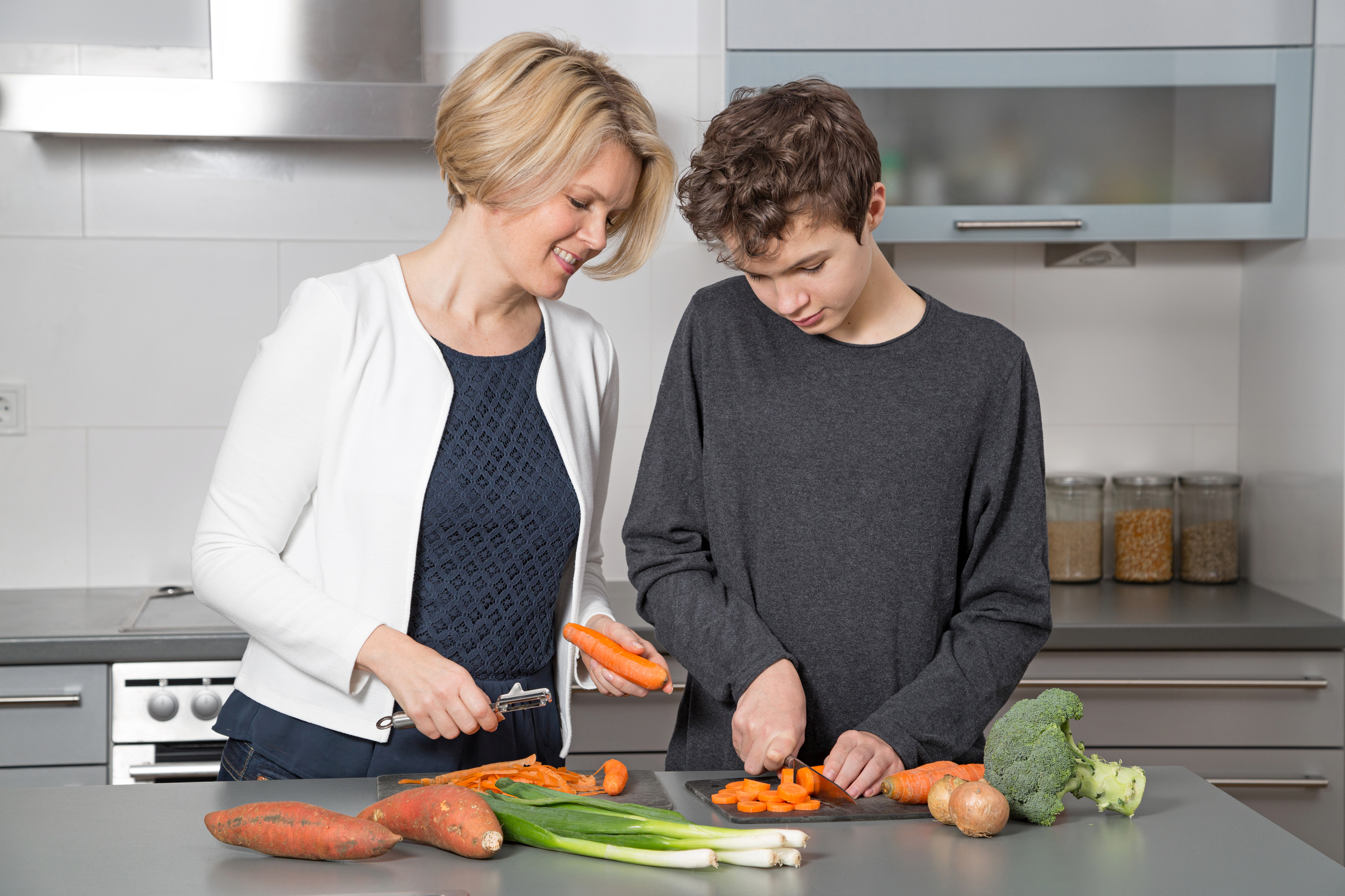 Introduction Section Image