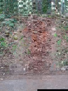 Picture of slope after tree and boulder removal work