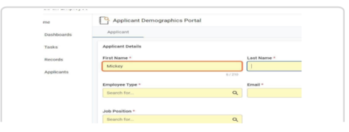 Having clicked the plus symbol, the Applicant Demographic Portal page will open. Multiple horizontal textboxes to be completed, including 'First Name, Last Name, Employment Type, Email, Job Position. These boxes are all mandatory.