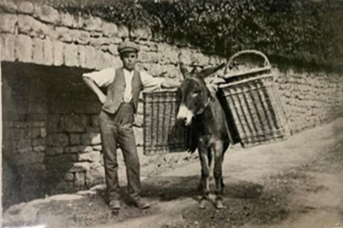 An image of The Chalford Donkey