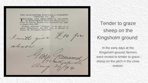 A photo of a tender to graze sheep on the Kingsholm ground