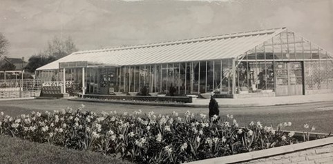An old photo of a big greenhouse in a garden centre