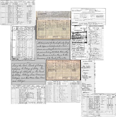 A collage of excerpts from different censuses