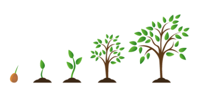 Cartoon graphic showing five stages of a tree - from seed to full crown in leaf