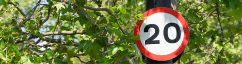 Photo of road sign with green tree leaves behind it