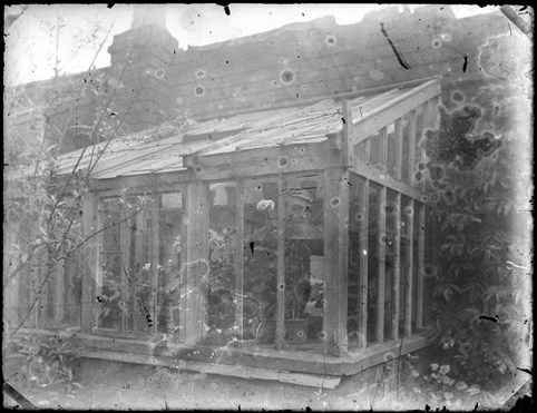 A black and white image of a greenhouse
