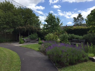 An image of a garden