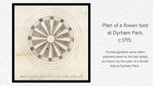 A photo of a plan of a flower bed at Dyrham Park, c.1715