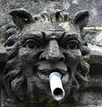 A lion gargoyle.