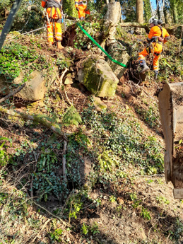 Photo of tree and boulder removal work