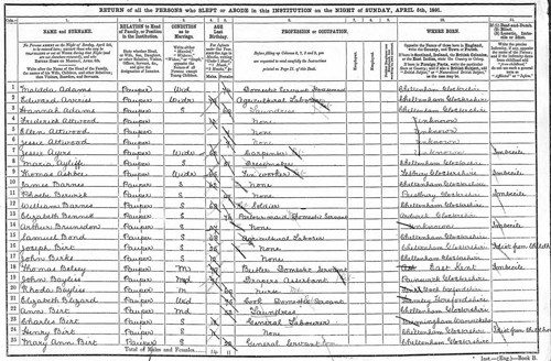1891 census