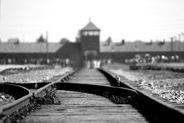A photo of the Birkenau concentration camp