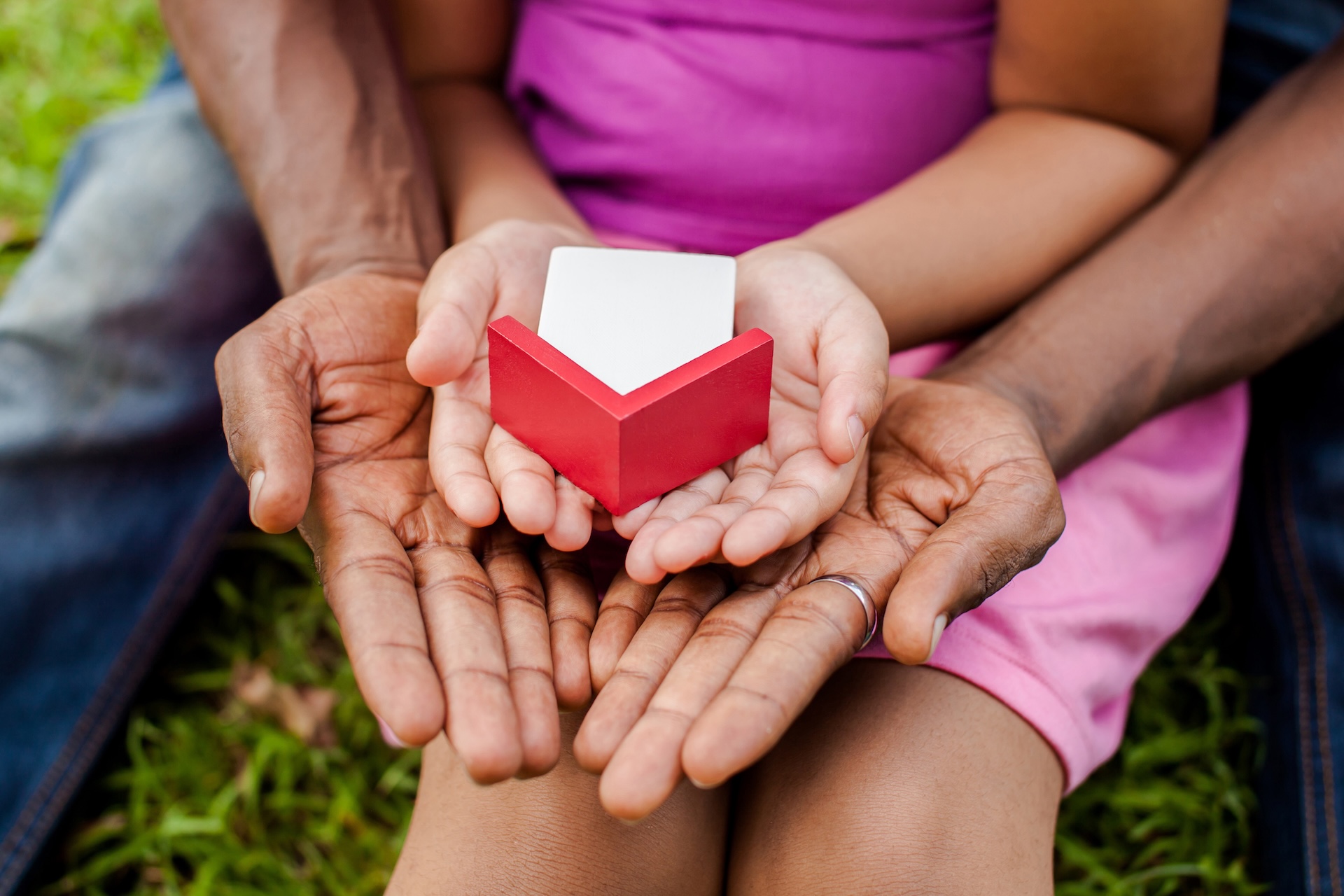 Introduction Section Image