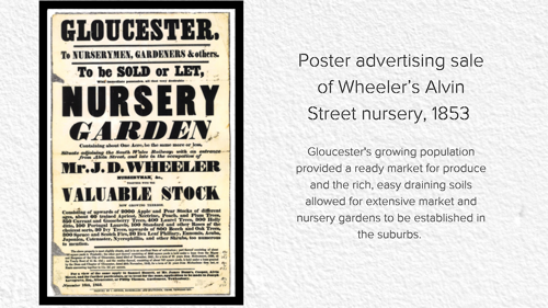 A photo of a poster advertising the sale of Wheeler's Alvin street nursery from 1853