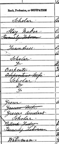 1881 census rank, profession or occupation