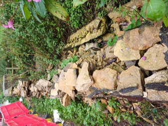 Photo of deterioration