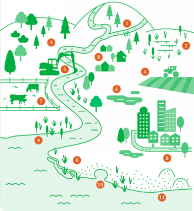 Illustrated diagram of a river catchment labelled with numbers 1 to 11.