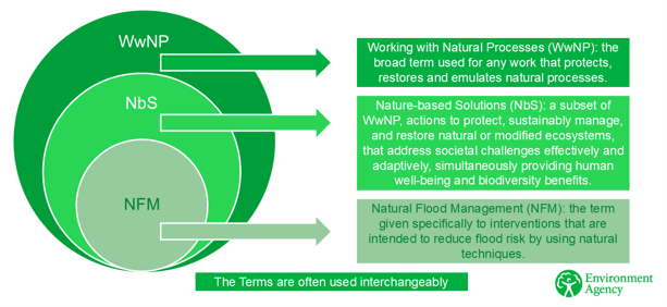Stacked Venn diagram; the largest circle is labelled “WwNP: the broad term used for any work that protects, restores and emulates natural processes.”. The middle circle is labelled “NbS: a subset of WwNP, actions to protect, sustainably manage, and restore natural or modified ecosystems, that address societal challenges effectively and adaptively, simultaneously providing human well-being and biodiversity benefits.”. The smallest circle is labelled “NFM: the term given specifically to interventions that are intended to reduce flood risk by using natural techniques.”