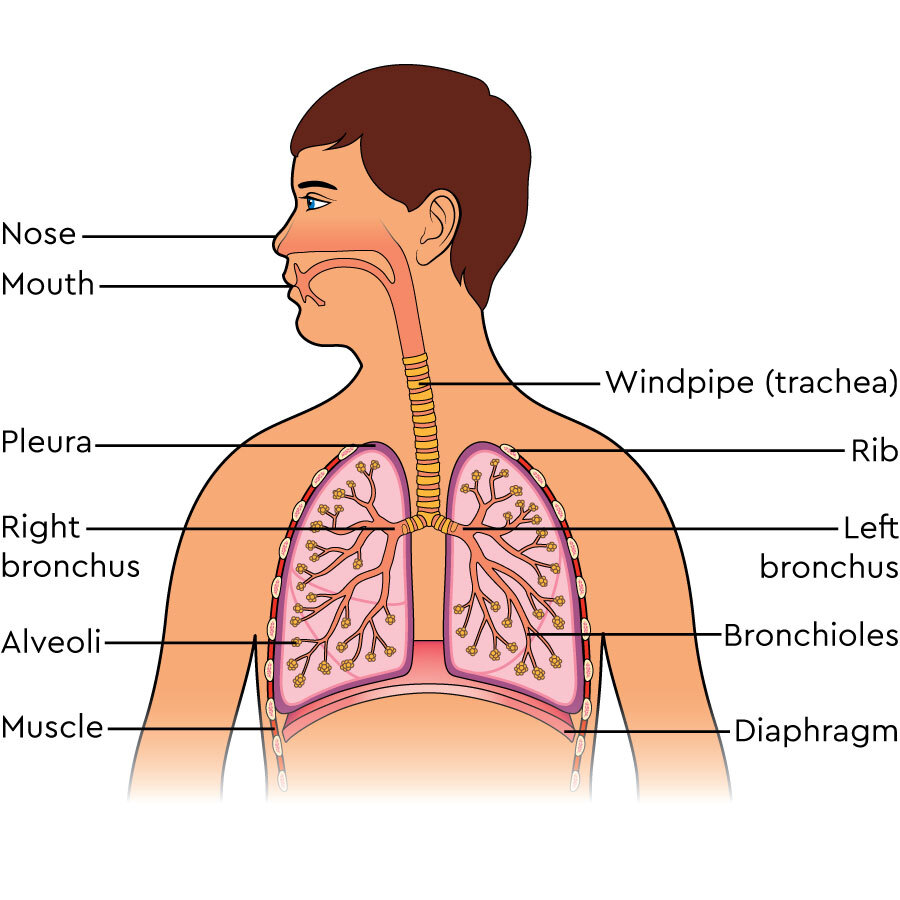 Air Quality & Health