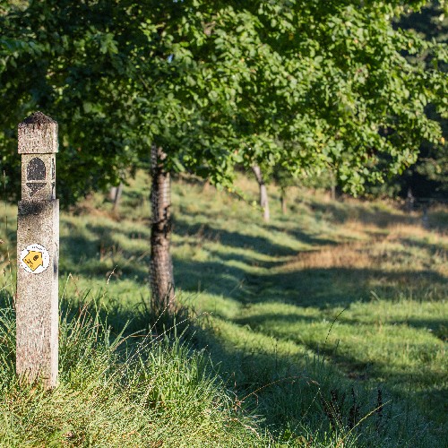 Public Rights of Way (PRoW) | Highways