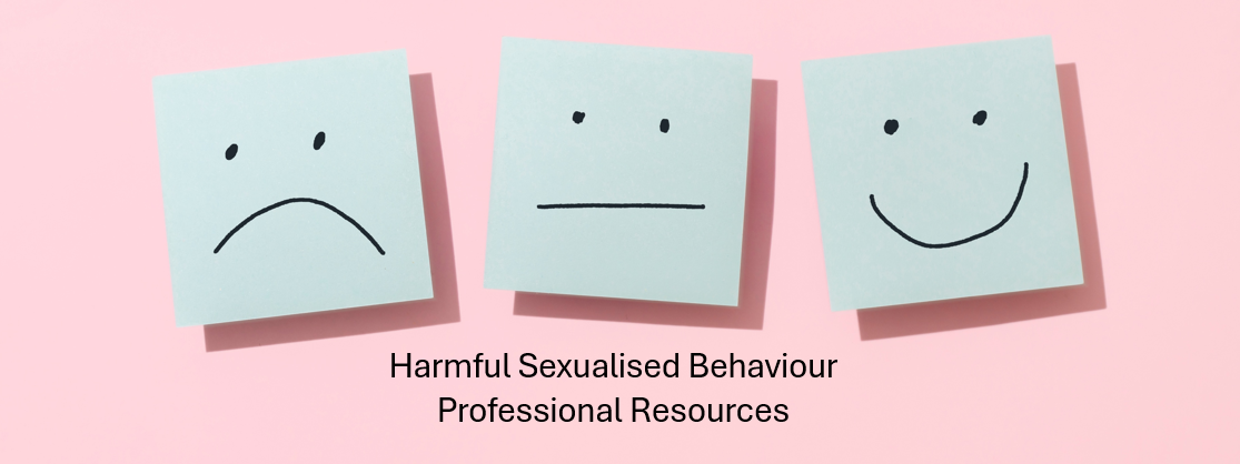 Children's Harmful Sexual Behaviour | Gloucestershire Safeguarding ...
