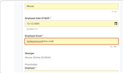 Three horizontal text boxes. One textbox for name, one textbox for date of birth. One textbox for employee email