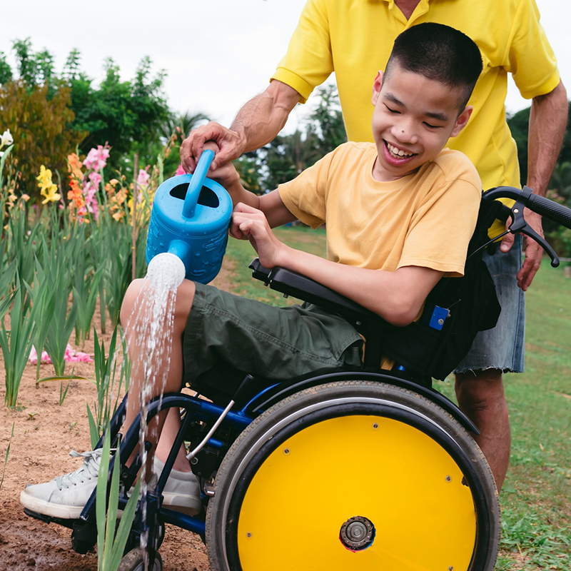 Introduction Section Image